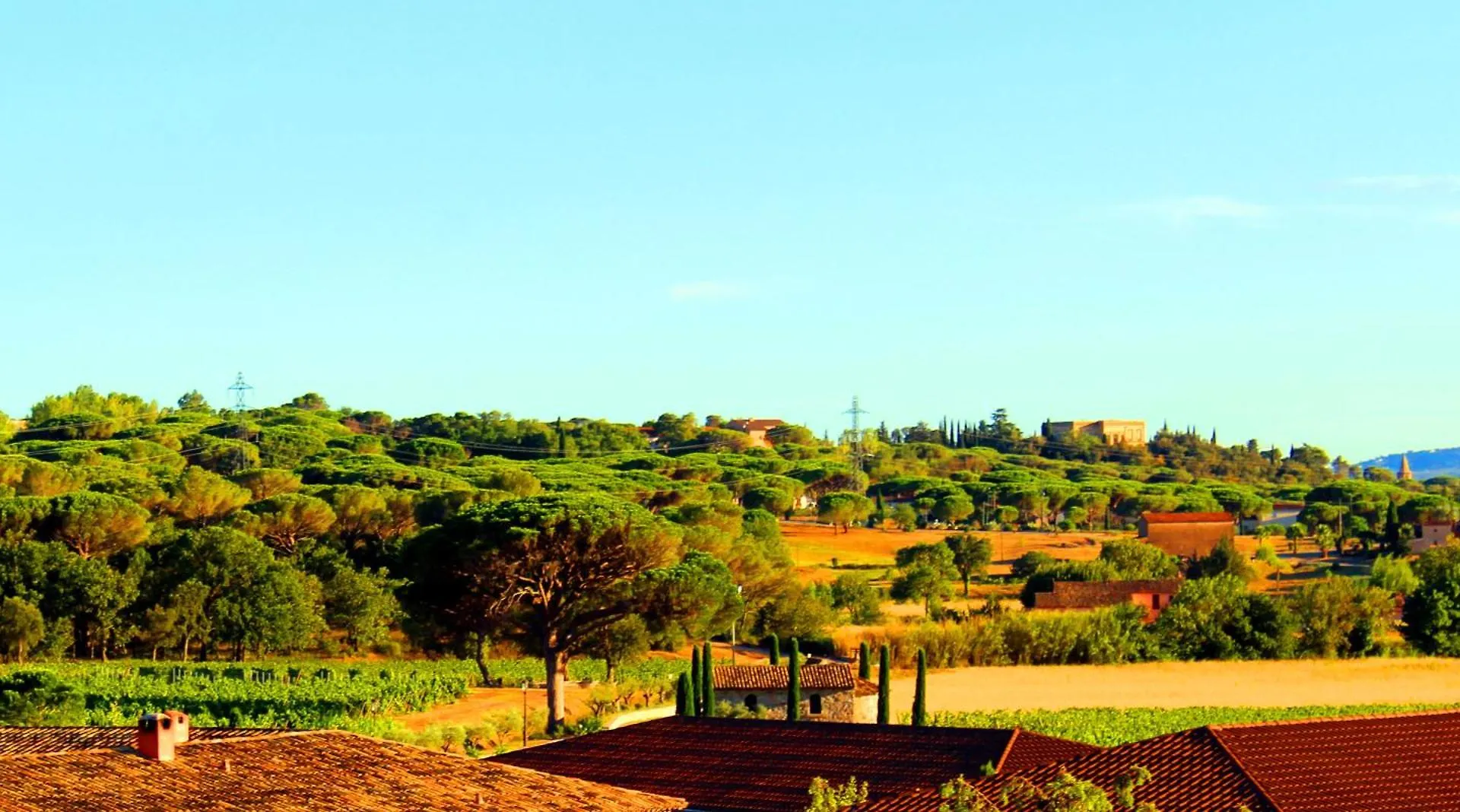 Villa Avec Piscine Privee - Vue Sur Vignoble, A 8 Min De La Plage Fréjus 0*,  Francie