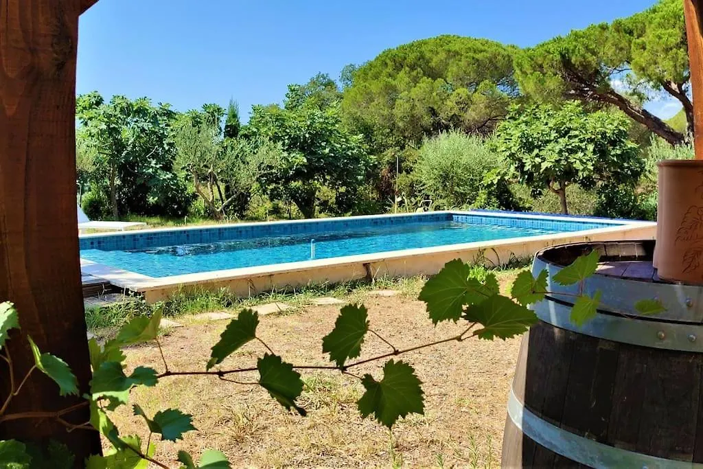 Villa Avec Piscine Privee - Vue Sur Vignoble, A 8 Min De La Plage Frejus